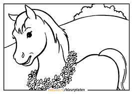 Kleurplaat paard spirit paard spirit. Kleurplaat Paard Download Gratis Paarden Kleurplaten Eendier Nl