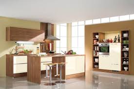 stylish contemporary kitchens from