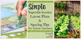 After choosing a garden site, the next step is to plan the arrangement of crops in the garden. Simple Vegetable Garden Layout Plans And Spacing Tips Farm Fit Living
