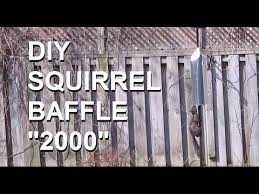 Squirrels are fun to watch but they can be very destructive. Diy Squirrel Baffle Simple And Effective Youtube