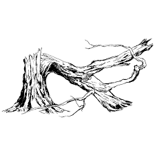 Fallen Tree 1531m Fall Tree Painting Autumn Trees Tree Drawing