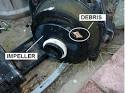 Noisy Pool Pump troubleshooting DIY - Simple Pool Tips