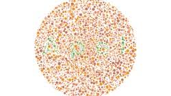 Maybe you would like to learn more about one of these? Tes Buta Warna Kamu Bisa Melihat Kata Tersembunyi Di Gambar Ini