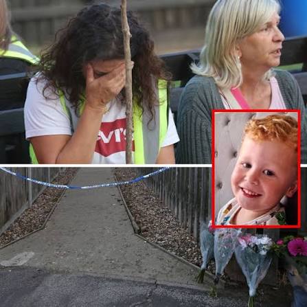 🚨😭 “WE NEVER GAVE UP HOPE…” The search for three-year-old Noah Woods ends  with a heartbreaking discovery, leaving volunteers in tears — but the full  story is even more painful… 💥See Details