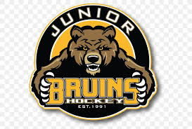 Wright ditson boston bruins bear logo med t shirt brown. Boston Junior Bruins Boston Bruins Boston Bandits Ice Hockey Logo Png 600x553px Boston Junior Bruins Boston