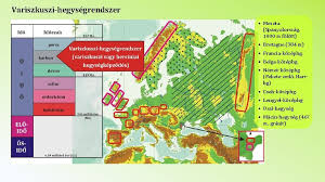 Rövid bevezetés franciaország bortermelésébe, bortörténelmébe, kiemelve az ország bortermelésének jellegzetességeit (fő szőlőfajták, illetve híres borvidékek). Zb3x Jv2xtniqm