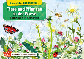 Grundschule Deutsch Sachunterricht Kamishibai Bucher Pflanzen Illustrierte Karten