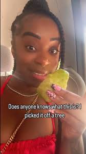 Can anybody say which is this fruit. Today found