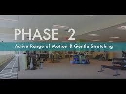 For this reason, many doctors first recommend management of rotator cuff tears with physical therapy and other nonsurgical treatments. Rotator Cuff Exercises For Pain Relief How To Strengthen Rotator Cuff Phase 2 Youtube