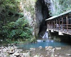山口県 観光名所 秋吉台の画像