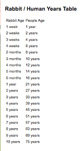 Rabbit Human Age Comparison Chart Small Pets Rabbit Human