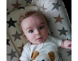 Callan Stanley Phillipp Obituary (2023)