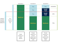 Medicare vs private health insurance. Public Vs Private Healthcare Australia Guide By Gmhba