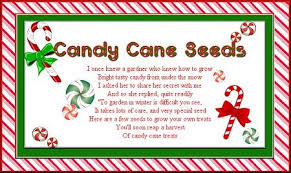 Peppermint candy in a confectioner's pan. Candy Cane Hotline Quote Candy Cane Hotline Quote Teacher Created Resources Candy Hotels Near Candy Cane Lane Marine Uber