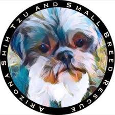 We did not find results for: Pets For Adoption At Arizona Shih Tzu And Small Breed Rescue In Phoenix Az Petfinder
