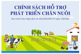 Nghị định quy định chính sách hỗ trợ nâng cao hiệu quả chăn nuôi có hiệu  lực thi hành từ ngày 20 tháng 9 năm 2024