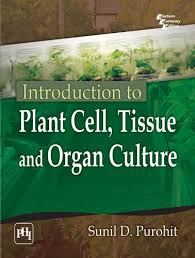 It is widely used to produce clones of a plant in a method known as micropropagation. Introduction To Plant Cell Tissue And Organ Culture Purohit Sunil D Amazon Com