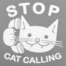 Stop Cat Calling T Shirt Ladies Catcalling Animal Tees Cats