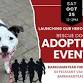 Dog Star Heroes Program Celebration + Dog Adoption event image