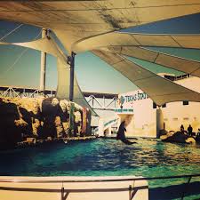 Texas State Aquarium Corpus Christi Texas Family Vacations In Texas Family Road Trip Packing Family Road Trips