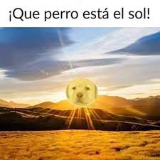 Clima en guadalajara es una aplicación para el tiempo, con un diseño moderno y ergonómico, para garantizar una mejor experiencia de usuario con una alta legibilidad de. La Onda De Calor Tambien Trajo Estos Memes