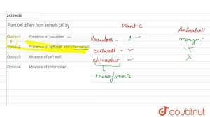Plant cell differ from animal cell in the absence of. Plant Cell Differs From Animals Cell By