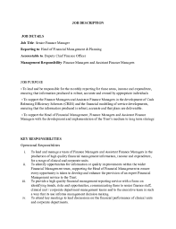 The finance manager will ensure our companies have the cash and liquidity to meet its obligations, will be involved in securing credit from banks and other. Doc Job Analysis Of Finance Manager Nitesh Khatiwada Academia Edu