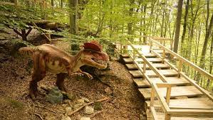 Reduceri La PreÈ›ul Biletelor De Acces La Dino Parc RaÈ™nov Monitorul Expres Stiri Brasov