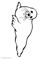 See more ideas about drawings, animal drawings, sea animals drawings. 111 Sea And Ocean Animals Coloring Pages To Print