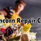 Runcorn Repair Cafe – Plant Care & Winter Prep event image