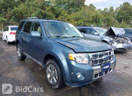 Image result for Steel Blue 2011 Escape