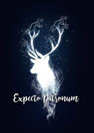 Harry potter basteln diy harry potter bilder harry potter wortspiele harry potter phantastische tierwesen snape zitate hp zitate muggel harry potter sprüche musik bücher. Lustige Harry Potter Bilder Schone Bilder Harry Potter Bildschirmhintergrund Harry Potter Lustige Bilder Harry Potter Hintergrund