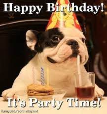 Happy birthday from the dog images sayings. Pin On Happy Birthday