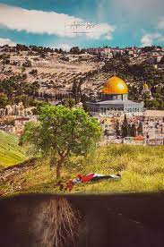 متجر تطبيقات والعاب للايفون ios بديل آبل ستور بدون جلبريك. Ø®Ù„ÙÙŠØ© Ø±Ø§Ø¦Ø¹Ø© Ø³ÙˆÙ Ù†Ø±ÙˆÙŠ Ø§Ø±Ø¶Ù†Ø§ ÙÙŠ Ø¯Ù…Ø§Ø¦Ù†Ø§ Ø®Ù„ÙÙŠØ§Øª ÙÙ„Ø³Ø·ÙŠÙ† Ø§Ù„Ù…ØµÙ…Ù… Ø§Ø¯Ù… Ø­Ù„Ø³