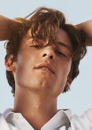 Fan Casting Shawn Mendes as Phineas Smith in If He Had Been With Me