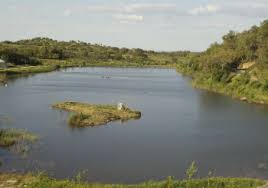 Josef sepp holzer (born july 24, 1942 in ramingstein, state of salzburg, austria) is a farmer, an author, and an international consultant for natural agriculture. Agualands Creating Water Landscapes