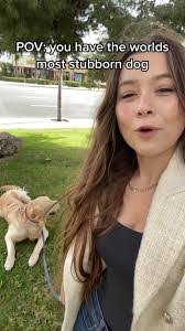 Linda Lingner's Instagram, Twitter & Facebook