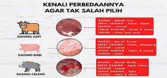 Berbeda dengan daging sapi yang lebih padat dan keras. Yuk Ketahui Perbedaan Daging Sapi Babi Dan Celeng Dialogpublik Com