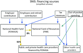 Healthy · 1 (normal) +person, plant, cell, mind sano; National Integrated Health System Snis In Spanish Financial Sources Download Scientific Diagram