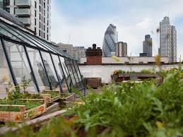 A true oasis at the heart of southbank centre with beautiful riverside views, a cafe bar, allotments, fruit trees and wild flowers, the roof garden is one of the best kept secrets in london. London S Best Rooftop Gardens 7 Rooftop Spots For Summer Days