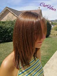 1000+ ideas about carré long effilé on pinterest | cheveu effilé … résultats de recherche d'images pour « coupe de cheveux mi long … coupe courte dégradée cheveux fins 2016. Cel Hair Degrade Sur Cheveux Mi Longs Avec Une Frange Facebook