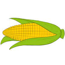 Check spelling or type a new query. How To Draw A Corn Cob Easy Drawing Art