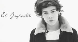 Novelas perver's de Harry Styles y Tu