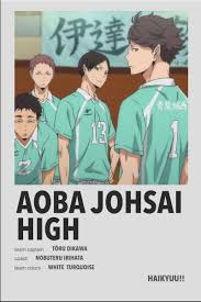 This quiz includes at least one character from karasuno, date tech, inarizaki, nekoma, aoba johsai, fukurodani, shiratorizawa, and itachiyama. Karasuno Aoba Johsai Karasuno Haikyuu Characters Novocom Top