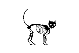 Download Skeleton Animal Svg Cut File By Creative Fabrica Crafts Creative Fabrica SVG Cut Files
