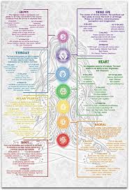 Image result for chakras
