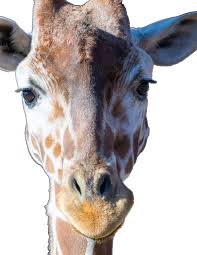 2 0 2 3 ANNU AL REPOR T BEYOND BOUNDARIES A YEAR OF INNOVATION