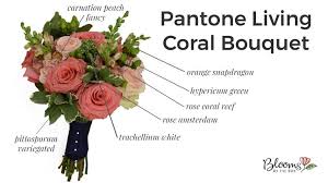 From red to purple to rainbow flowers, search wedding flowers by color and quickly see what your choices are. Diy Pantone Living Coral Bouquet Blooms By The Box