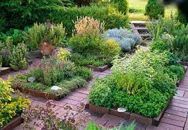 Herbs Glorious Herbs Gap Gardens Blog Landscaping Plants Dry Garden Garden Planning