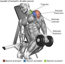 Elevation Laterale A Un Bras Sur Banc Incline Exercice Epaule Exercice Musculation Exercices Abdominaux